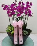 경기도수원시 권선구 꽃배달, 경기도수원시 권선구 꽃집, 경기도 수원시 권선구 탑동로 48 꽃집, (탑동) 강서빌딩 B104호 꽃집, 경기도 수원시... 