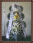 경기도평택시 꽃배달, 경기도평택시 꽃집, 경기도 평택시 안중읍 안현로서9길 181 꽃집, 꽃집, 경기도 평택시 안중읍 안현로서9길 181 꽃배달... 