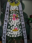 고흥군 고흥읍 여산당촌길 46 꽃집, (모아하이빌아파트) 102호... 고흥군 고흥읍 여산당촌길 46 꽃배달, (모아하이빌아파트) 102호 백양꽃화원... 