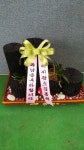 경기도화성시 꽃배달, 경기도화성시 꽃집, 경기도 화성시 봉담읍 삼천병마로 818 꽃집, 실내조경미가 꽃집, 경기도 화성시 봉담읍 삼천병마로 818... 