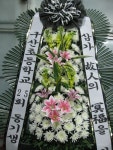 대구광역시달서구 꽃배달, 대구광역시달서구 꽃집, 대구광역시 달서구 월곡로94길 39 꽃집, (월성동) 꽃집, 대구광역시 달서구 월곡로94길 39... 