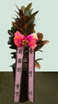경기도하남시 꽃배달, 경기도하남시 꽃집, 경기도 하남시 아리수로 499 꽃집, 503-1701호 꽃집, 경기도 하남시 아리수로 499 꽃배달, 503-1701호... 