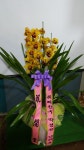 경기도화성시 꽃배달, 경기도화성시 꽃집, 경기도 화성시 봉담읍 삼천병마로 818 꽃집, 실내조경미가 꽃집, 경기도 화성시 봉담읍 삼천병마로 818... 