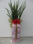 꽃집, (월성동) 꽃집, 대구광역시 달서구 월곡로94길 39 꽃배달, (월성동) 꽃배달 - 대구한국플라워 플라워119꽃배달서비스 - 생일, 개업, 축하... 