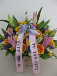 꽃집, (월성동) 꽃집, 대구광역시 달서구 월곡로94길 39 꽃배달, (월성동) 꽃배달 - 대구한국플라워 플라워119꽃배달서비스 - 생일, 개업, 축하... 