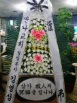 전라북도익산시 꽃배달, 전라북도익산시 꽃집, 전라북도 익산시 선화로13길 63 꽃집, (모현동1가) 꽃집, 전라북도 익산시 선화로13길 63 꽃배달... 