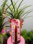 충청남도홍성군 꽃배달, 충청남도홍성군 꽃집, 충청남도 홍성군 홍성읍 월산로50번길 25 꽃집, 103호(청운빌딩) 꽃집, 충청남도 홍성군 홍성읍... 
