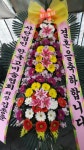 꽃집, 충청남도 논산시 연무읍 득안대로 684 꽃배달, 꽃배달 - 희망꽃식물원 플라워119꽃배달서비스 - 생일, 개업, 축하, 근조 꽃배달 전문... 