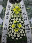 대구광역시달서구 꽃배달, 대구광역시달서구 꽃집, 대구광역시 달서구 월곡로94길 39 꽃집, (월성동) 꽃집, 대구광역시 달서구 월곡로94길 39... 
