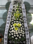대구광역시달서구 꽃배달, 대구광역시달서구 꽃집, 대구광역시 달서구 월곡로94길 39 꽃집, (월성동) 꽃집, 대구광역시 달서구 월곡로94길 39... 