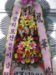 꽃집, (월성동) 꽃집, 대구광역시 달서구 월곡로94길 39 꽃배달, (월성동) 꽃배달 - 대구한국플라워 플라워119꽃배달서비스 - 생일, 개업, 축하... 