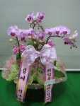 전라북도김제시 꽃배달, 전라북도김제시 꽃집, 전라북도 김제시 남북로 258 꽃집, (요촌동) 꽃집, 전라북도 김제시 남북로 258 꽃배달, (요촌동)... 