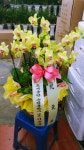 꽃집, (월성동) 꽃집, 대구광역시 달서구 월곡로94길 39 꽃배달, (월성동) 꽃배달 - 대구한국플라워 플라워119꽃배달서비스 - 생일, 개업, 축하... 