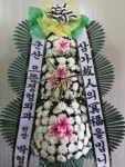 꽃배달 - 화순금호화원 플라워119꽃배달서비스 - 생일, 개업, 축하... 전국꽃배달서비스,맞춤꽃배달,꽃, 꽃집,맞춤꽃, 적립금, 기념일 관리... 