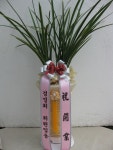 대구광역시달서구 꽃배달, 대구광역시달서구 꽃집, 대구광역시 달서구 월곡로94길 39 꽃집, (월성동) 꽃집, 대구광역시 달서구 월곡로94길 39... 