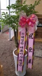 전라북도군산시 꽃배달, 전라북도군산시 꽃집, 전라북도 군산시 수송동로 41-1 꽃집, (수송동) 꽃집, 전라북도 군산시 수송동로 41-1 꽃배달... 