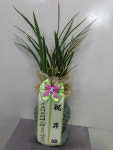 경기도평택시 꽃배달, 경기도평택시 꽃집, 경기도 평택시 안중읍 안현로서9길 181 꽃집, 꽃집, 경기도 평택시 안중읍 안현로서9길 181 꽃배달... 
