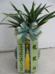 대구광역시달서구 꽃배달, 대구광역시달서구 꽃집, 대구광역시 달서구 월곡로94길 39 꽃집, (월성동) 꽃집, 대구광역시 달서구 월곡로94길 39... 