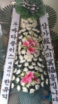 고흥군 고흥읍 여산당촌길 46 꽃집, (모아하이빌아파트) 102호... 고흥군 고흥읍 여산당촌길 46 꽃배달, (모아하이빌아파트) 102호 백양꽃화원... 