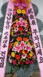 제주특별자치도서귀포시 꽃배달, 제주특별자치도서귀포시 꽃집, 제주특별자치도 서귀포시 일주동로 8718 꽃집, (서홍동) 꽃집, 제주특별자치도... 