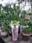 경상남도거창군 꽃배달, 경상남도거창군 꽃집, 경상남도 거창군 거창읍 거열로 43 꽃집, 미림플라워랜드 꽃집, 경상남도 거창군 거창읍 거열로 43... 