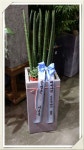 전라북도군산시 꽃배달, 전라북도군산시 꽃집, 전라북도 군산시 수송동로 41-1 꽃집, (수송동) 꽃집, 전라북도 군산시 수송동로 41-1 꽃배달... 
