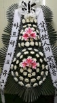 꽃집, 교육청길 45-3 꽃집, 전라남도 해남군 해남읍 읍사무소길 17 꽃배달, 교육청길 45-3 꽃배달 - 민들레꽃방 플라워119꽃배달서비스 - 생일, 개업... 