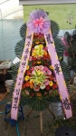 경기도화성시 꽃배달, 경기도화성시 꽃집, 경기도 화성시 봉담읍 삼천병마로 818 꽃집, 실내조경미가 꽃집, 경기도 화성시 봉담읍 삼천병마로 818... 