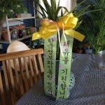 제주특별자치도서귀포시 꽃배달, 제주특별자치도서귀포시 꽃집, 제주특별자치도 서귀포시 일주동로 8718 꽃집, (서홍동) 꽃집, 제주특별자치도... 