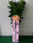 경기도평택시 꽃배달, 경기도평택시 꽃집, 경기도 평택시 안중읍 안현로서9길 181 꽃집, 꽃집, 경기도 평택시 안중읍 안현로서9길 181 꽃배달... 