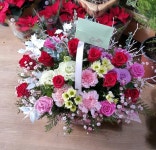 대구광역시서구 꽃배달, 대구광역시서구 꽃집, 대구광역시 서구 평리로 277 꽃집, (평리동) 꽃집, 대구광역시 서구 평리로 277 꽃배달, (평리동)... 