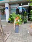 이전, 승진, 생일, 취업, 조문, 쾌유, 격려, 사랑고백, 감사, 축하, 사과, 꽃선물, 꽃바구니, 꽃다발, 생일축하꽃배달, 개업꽃, 개업꽃배달... 