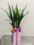 원플라워 플라워119꽃배달서비스 - 생일, 개업, 축하, 근조 꽃배달 전문 카테고리 꽃다발 , 꽃배달, 꽃선물, 전국꽃배달서비스,맞춤꽃배달,꽃... 