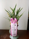 경기도하남시 꽃배달, 경기도하남시 꽃집, 경기도 하남시 아리수로 499 꽃집, 503-1701호 꽃집, 경기도 하남시 아리수로 499 꽃배달, 503-1701호... 