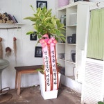 경기도과천시 꽃배달, 경기도과천시 꽃집, 경기도 과천시 광창2로 21 꽃집, 과천시 과천동 112-5(과천동) 꽃집, 경기도 과천시 광창2로 21 꽃배달... 