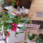 대전광역시서구 꽃배달, 대전광역시서구 꽃집, 대전광역시 서구 둔산북로 22 꽃집, 둔산꽃도매상가 내 1층(둔산동) 꽃집, 대전광역시 서구... 