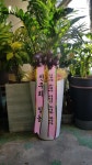 충청남도홍성군 꽃배달, 충청남도홍성군 꽃집, 충청남도 홍성군 홍성읍 월산로50번길 25 꽃집, 103호(청운빌딩) 꽃집, 충청남도 홍성군 홍성읍... 