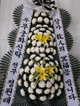 제주특별자치도서귀포시 꽃배달, 제주특별자치도서귀포시 꽃집, 제주특별자치도 서귀포시 일주동로 8718 꽃집, (서홍동) 꽃집, 제주특별자치도... 