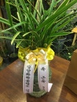 의창구 퇴촌로 11 꽃집, (사림동) 꽃집, 경상남도 창원시 의창구 퇴촌로 11 꽃배달, (사림동) 꽃배달 - 플로라현 플라워119꽃배달서비스 - 생일... 