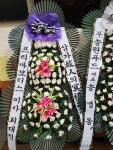 고흥군 고흥읍 여산당촌길 46 꽃집, (모아하이빌아파트) 102호... 고흥군 고흥읍 여산당촌길 46 꽃배달, (모아하이빌아파트) 102호 백양꽃화원... 