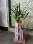 충청북도청주시 서원구 꽃배달, 충청북도청주시 서원구 꽃집, 충청북도 청주시 서원구 탑골로37번길 10 꽃집, 산남동1207(산남동) 꽃집... 