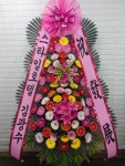 경기도고양시 일산동구 꽃배달, 경기도고양시 일산동구 꽃집, 경기도 고양시 일산동구 무궁화로386번길 29-13 꽃집, 식사동1021번지(식사동)... 
