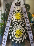 고흥군 고흥읍 여산당촌길 46 꽃집, (모아하이빌아파트) 102호... 고흥군 고흥읍 여산당촌길 46 꽃배달, (모아하이빌아파트) 102호 백양꽃화원... 