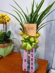 춘천시 서부대성로 247 꽃배달, (효자동) 꽃배달 - 춘천아름다운꽃세상 플라워119꽃배달서비스 - 생일, 개업, 축하, 근조 꽃배달 전문 카테고리... 