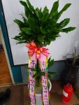경기도화성시 꽃배달, 경기도화성시 꽃집, 경기도 화성시 봉담읍 삼천병마로 818 꽃집, 실내조경미가 꽃집, 경기도 화성시 봉담읍 삼천병마로 818... 