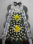 경기도고양시 일산동구 꽃배달, 경기도고양시 일산동구 꽃집, 경기도 고양시 일산동구 무궁화로386번길 29-13 꽃집, 식사동1021번지(식사동)... 
