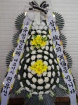 경기도고양시 일산동구 꽃배달, 경기도고양시 일산동구 꽃집, 경기도 고양시 일산동구 무궁화로386번길 29-13 꽃집, 식사동1021번지(식사동)... 