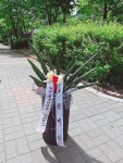 충청북도청주시 서원구 꽃배달, 충청북도청주시 서원구 꽃집, 충청북도 청주시 서원구 탑골로37번길 10 꽃집, 산남동1207(산남동) 꽃집... 