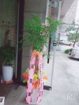 충청북도청주시 서원구 꽃배달, 충청북도청주시 서원구 꽃집, 충청북도 청주시 서원구 탑골로37번길 10 꽃집, 산남동1207(산남동) 꽃집... 