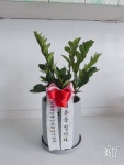 충청북도청주시 서원구 꽃배달, 충청북도청주시 서원구 꽃집, 충청북도 청주시 서원구 탑골로37번길 10 꽃집, 산남동1207(산남동) 꽃집... 